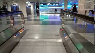 Travelator At Airport (Royalty Free Stock Video)