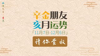 辛金朋友｜你的乙亥月走势请查收｜11月7日至12月6日