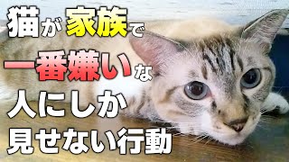 ドキドキ！猫が家族で一番嫌いな人にしか見せない行動