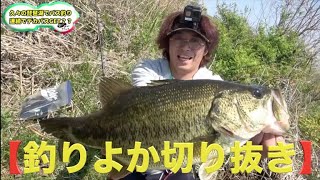 たまにアホになるむねおw【釣りよか切り抜き】