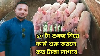 শুকর পালন শুরু করার আগে ভিডিও টি দেখুন। How to start profitable pig/pork farm.