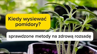 Kiedy wysiewać pomidory? Sprawdzone metody na zdrową rozsadę.