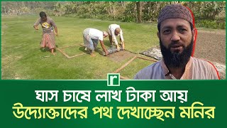 ঘাস চাষে লাখ টাকা আয়, উদ্যোক্তাদের পথ দেখাচ্ছেন মনির | Cultivation of Grass | Entrepreneur | Monir