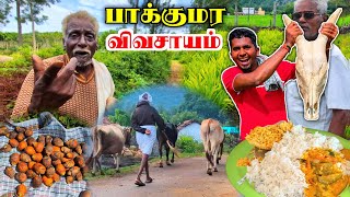 🔥ஹாசனூர் மலை கிராமத்தில் முதல் நாள் பயணம்😍🚶| DHIMBAM HASANUR VILLAGE | ERODE SATHYAMANGALAM | K7