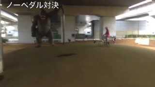 140506ゴリラ公園BMXコース