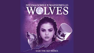 Wolves (Said The Sky Remix)