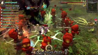 Dragon Nest SEA | Black Dragon Nest Hardcore