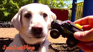 Toy Trucks for Kids: Tonka Climb-Overs in Action with Jack Jack and Dog!