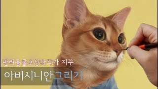 반려동물초상화/고양이그림/그림강좌/귀여운고양이/아비시니안