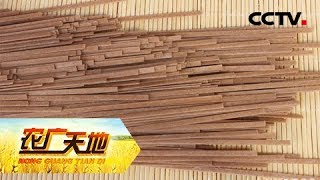 《农广天地》一根黑面条带来的财富 20181218 | CCTV农业