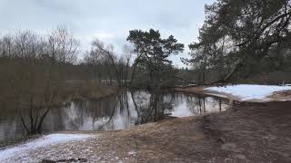 [4K HDR] Lutterzand im Schnee (DJI Osmo Pocket 3)