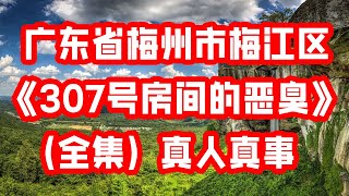 广东省梅州市梅江区《307号房间的恶臭》（全集）真人真事