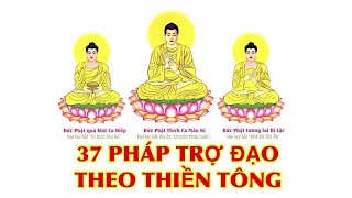 37 Pháp Trợ Đạo Theo Thiền Tông