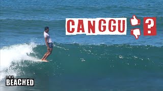 What This Local Thinks About Canggu? - Ayok | Beached #18