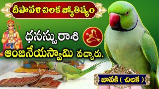 దీపావళి చిలకజోతిష్యం | ధనస్సురాశి హనుమంతుడు వచ్చాడు Deepavali Dhanassurasi Chilaka jyotishyam