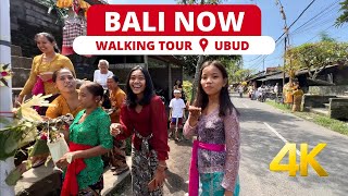 🇮🇩 UBUD BALI Today. 4K WALKING TOUR on street full of bird PEPULU | BALI 2023 | Bali Travel Vlog