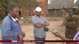 Zimbabwe: des fermiers noirs inquiets - Extrait, BBC Infos