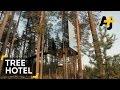 A Tree Hotel Made Of Six Unique Cabins