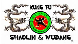 Kung Fu Northern Shaolin 北少林 Siu Lum, Mo I, (Wu Yi) Norteño kung fu.