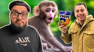 MONKEY-ING AROUND |JBM EP 23