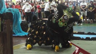 Kwong Ngai Lion Dance 吉隆坡光艺醒狮团