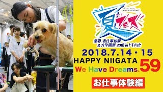 HAPPY59 NSG夏フェス2018 お仕事体験 NSGカレッジリーグ 専門学校 文化祭 学園祭 イベント 行事