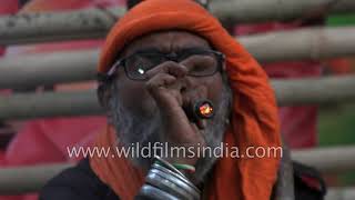 Sufi qalandar gets high as he smokes chillum in Ajmer, Rajasthan, his head going round and round