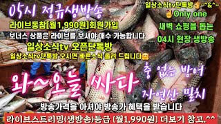 생새우 생굴 벌교꼬막 방어 돌문어 갑오징어 11/25일 04시반 정규라이브(월~토)☝️Only one 새롭고 싸고 다양한 노량진수산시장 새벽 쇼핑을 돕는 정규생방송(Live)운영~