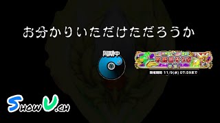 [星ドラ]またーりガチャーり　不死鳥装備ふくびき