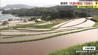 棚田百選の「大浦の棚田」で田植え始まる【佐賀県】 (23/04/18 18:40)