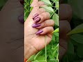 এই ফুলের নাম অপরিজিতা বা নিল কন্ঠ ফুল 🥰🥰🥰🥰🥰🥰🥰🥰🥰🥰🥰 youtube shorts video