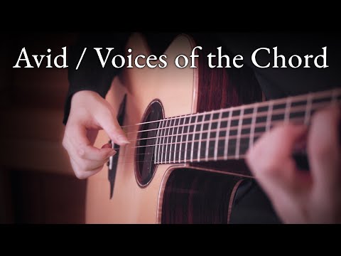 Avid / Voices of the Chord – 86 Eighty Six ED (Fingerstyle Guitar)