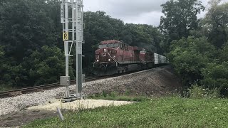 CPKC train 135 climbing Orr’s lake hill. August 25th 2023