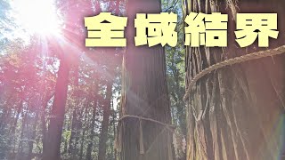 Ch1【妖精の住む地】【御神木だらけ】千葉県君津市 三島神社 撮影日: 2023年3月19日 (日)