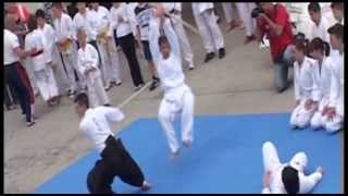 Joza Sensei \u0026 Aikido team - public demonstration \