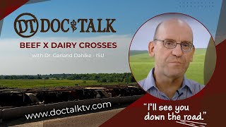 DocTalk Ep 655 - Beef x Dairy