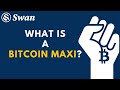 Bitcoin Maximalism and debunking alt-coins - Cory Klippsten and Matt Bilinsky