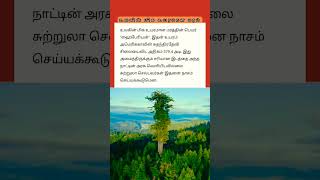 உலகின் மிக உயரமான மரம் ,எது தெரியுமா?🤔|#shorts #interestingfacts #amazingfacts