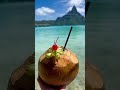 This is your sign to visit Bora Bora for a fraction of the price with points & miles!