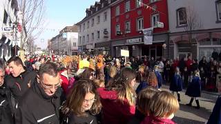 Hochrhein-Narrentreffen in Rheinfelden 3