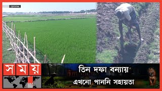 বোরো আবাদ নিয়ে দুশ্চিন্তায়, সুনামগঞ্জের কয়েক লাখ কৃষক | Sunamganj Farmers | Somoy TV