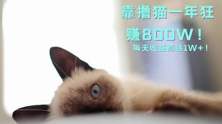 2021赚钱丨靠撸猫一年狂赚800万！每天收益高达1W+！