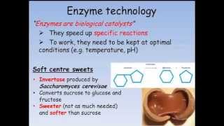 B3 Biotechnology