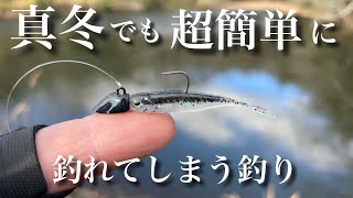 【1月のバス釣り】真冬におすすめのマイクロワインドの使い方を解説しながら釣りをしていると、真冬のバスたちが連発してしまいました。　『真冬のバス釣り』