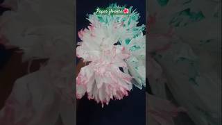 DIY tissue paper flowers🌺🌺