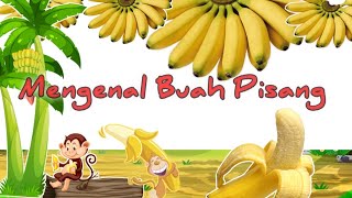 Mengenal buah pisang