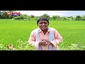 teenmaar sadanna satirical conversation with radha over demanding land surveyors v6 news