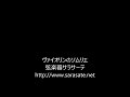 中国製・新作・バイオリン・鳴らし易い・初心者・販売・東京