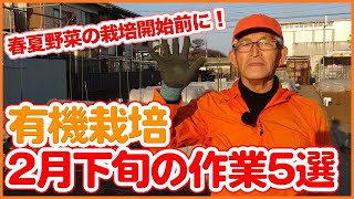 家庭菜園や農園で2月下旬にやりたい作業５選！春夏野菜栽培の前に土作り・育苗・植え付けなど大切な春の畑仕事を徹底解説！【農園ライフ】