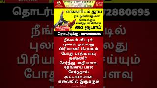 நீங்கள் வீட்டில் புலாவ் அல்லது பிரியாணி செய்யும் போது #selviyinselvan #shorts #tips